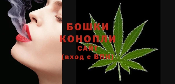 твердый Анива