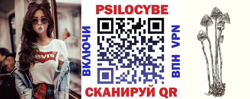 хочу   Сысерть  Псилоцибиновые грибы Psilocybine cubensis 